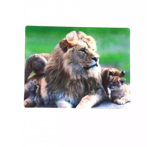 Magnet tiere löwe mit - tiere,