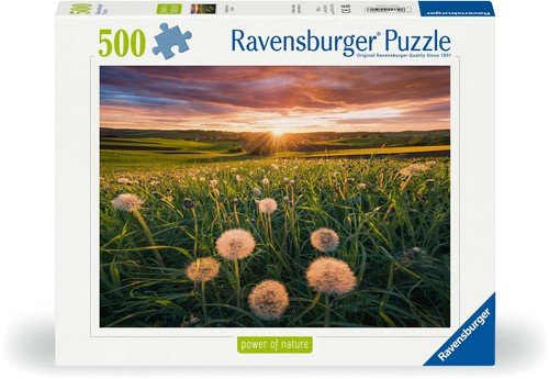 500 teile ravensburger puzzle - 500,