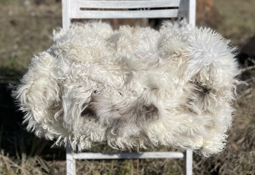 Xxl merino lammfelldecke - xxl,