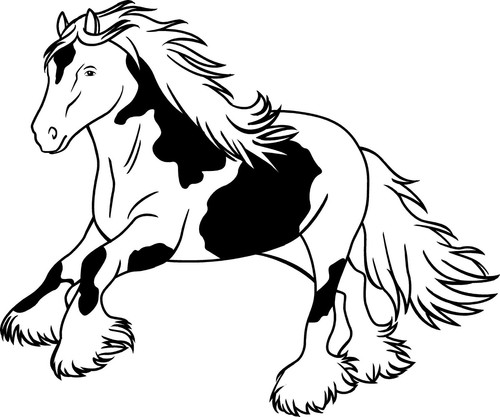 Aufkleber pferd tinker motiv - tinker,