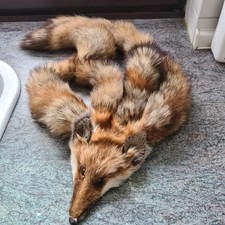pelz stola fuchs