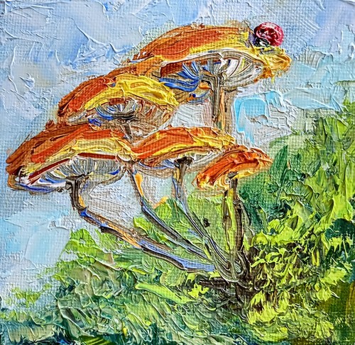 Pilze ölbild 10x10 - 10x10, cm