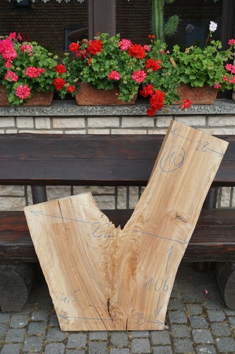 Baumscheibe holzscheibe - baumscheibe,
