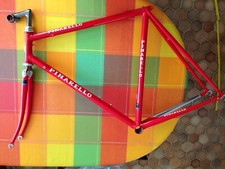 Pinarello Stelvio  Rennrad