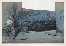 Gerd Winner handsigniert nummeriert auf Bütten 1972 70 x 102 cm WVZ Blume 41