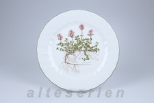 Speiseteller Eschenbach Bayreuth Botanica