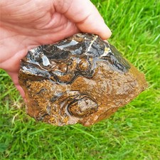 0,72 Kg Stromatolith Rohstein