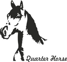 Auto Aufkleber Pferd QUARTER