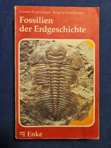 R10 fossilien der - r10:,