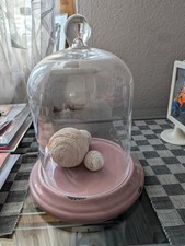 Schöne Deko Glasglocke von Depot  im Vintage Style