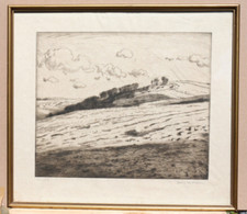 Hans von Volkmann. Landschaft im Wolkenschatten Orig.-Radierung. 1912. Signiert.