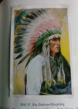 Herba Fremde Welt in ferner Wildnis Tanner, Stephen: vollständig -Schutzumschlag