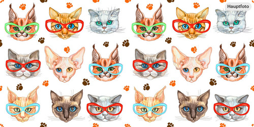 Baumwolle canvas katzen - canvas,