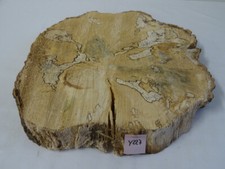 Pappel gestockt,Baumscheibe,Tischplatte,schöne Maserung,ca.49x40x6cm,Y227