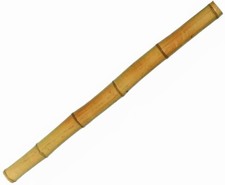 Moso Bambus Rohr mit 100cm