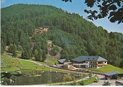 Todtnau schwarzwald wildpark - todtnau,