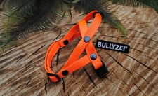 Bullyzei Norwegergeschirr Neon-Orange Gr.XS Dackel Terrier Welpe Chihuahua Pudel