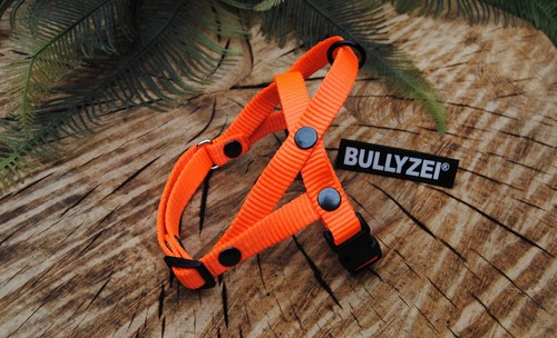 Bullyzei norwegergeschirr - bullyzei,