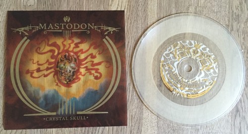 Mastodon crystal skull 7 - crystal, 7"