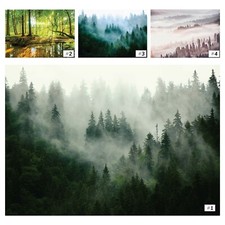 Fototapete WALD NEBEL 3D Vlies