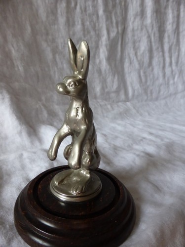 Alvis hase hare - hase, /