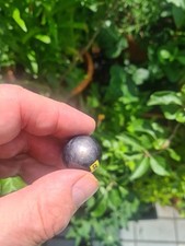 Sternsaphir Kugel (B: 125 ct,  ca. 23 mm) schwarz mit schönen Sternen