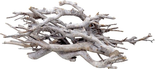 Natur äste zweig weiß - natur,
