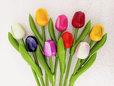 9 Holland Holztulpen Tulpen