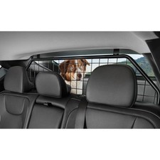 Trenngitter Laderaum