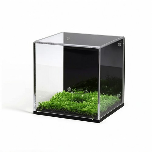 Präsentationsbox mit