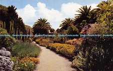 R188244 Tresco Gardens. Scilly. F.E. Gibson. 1966