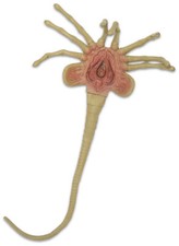 Neca aliens facehugger replica - aliens,