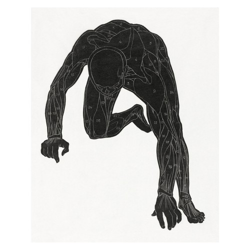 Anatomische figur - anatomische,