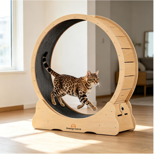 Katzenlaufrad für - katzenlaufrad, xl
