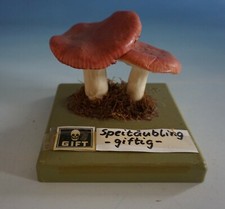 SOMSO anatomisches Modell Pilz