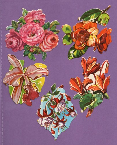 Ddr oblaten scraps - oblaten,