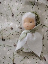 🌱Schneeglöckchen-Blüte