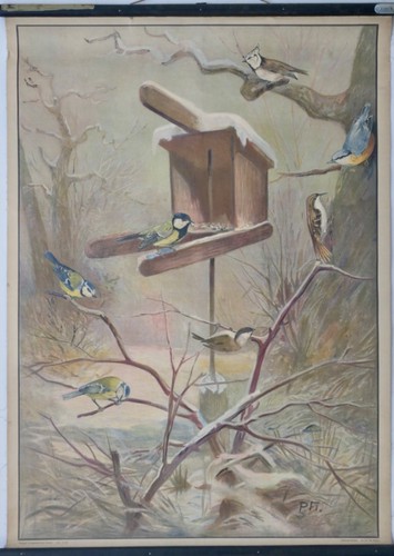 Vintage schulwandkarte - |,
