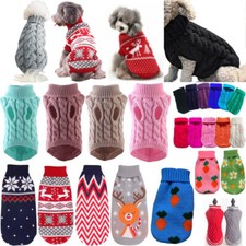 Welpe Haustier Hund Katze