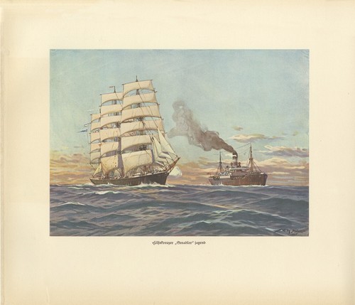 Hilfskreuzer seeadler jagend - seeadler,