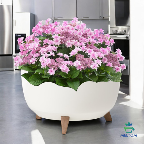 Blumentopf mit füßen - mit,