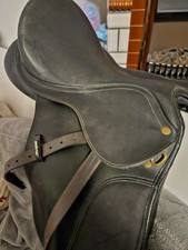 Wintec Dressursattel 14 Zoll/40cm für Pony, Zwei Kopfeisen