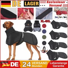 Großer Hund Outdoor Warme