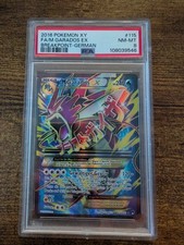 Mega GARADOS EX ( Holo )