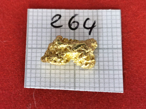 529 gramm goldnugget alaska - 1,529,
