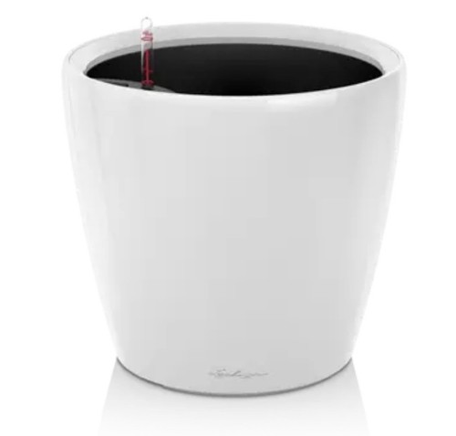 Lechuza classico color - lechuza,