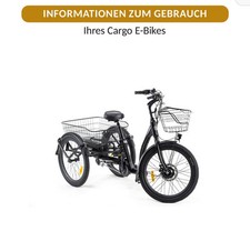 Ebike Cargo Swing , Lastenrad, Dreirad, so gut wie neu
