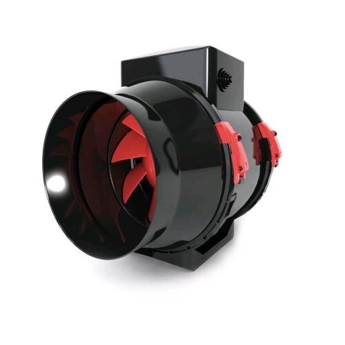 Staubsauger black orchid - black,
