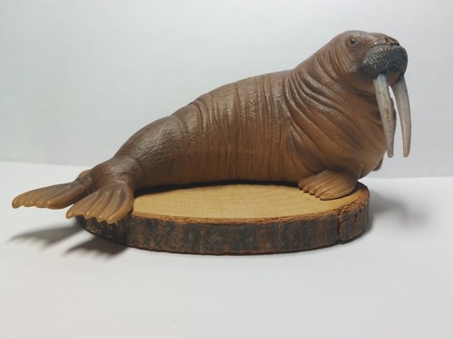 Schleich walroß 14803 rar - 14803,