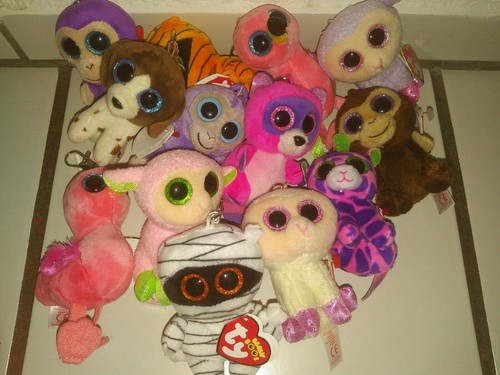 Ein beanie boos - ty,